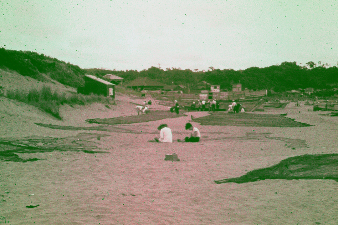 Japan 1954